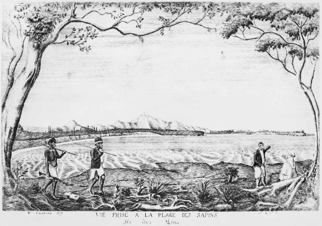 Albumi Isle of Pinesista, näkymä Pinesin rannalta, 1877 tekijältä French School