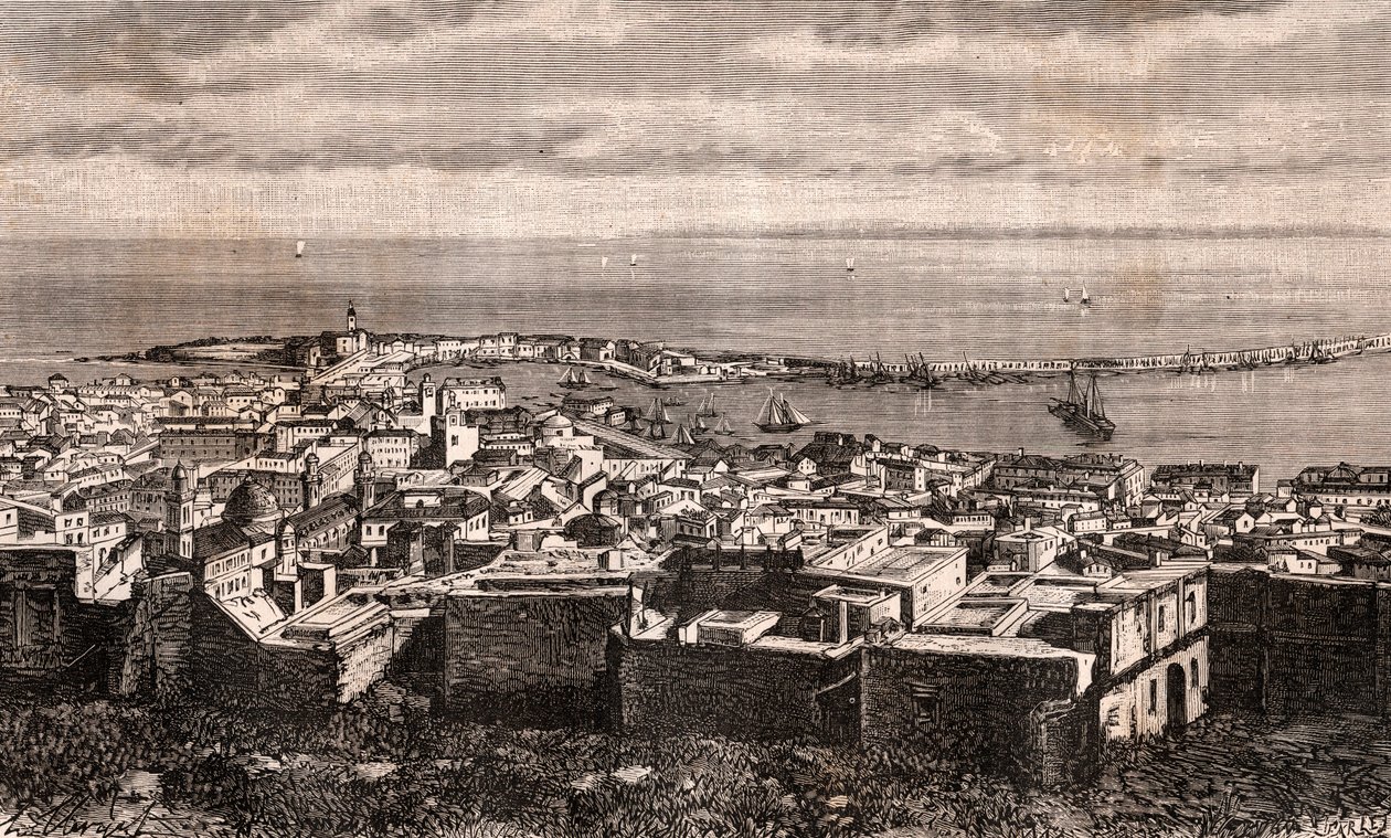 Alger - Alger - Algerie - kaiverrus "La France illustree: maantiede, historia, hallintotilastot" V.A. Maltaanruskea. 1884 tekijältä French School