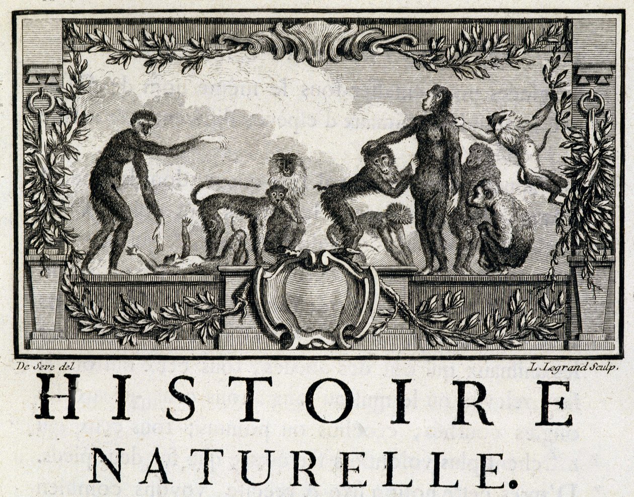 Luonnonhistorian allegooria apinoista - Buffonin "" Luonnonhistoriassa, yleisessä ja erityisessä historiassa"". tekijältä French School