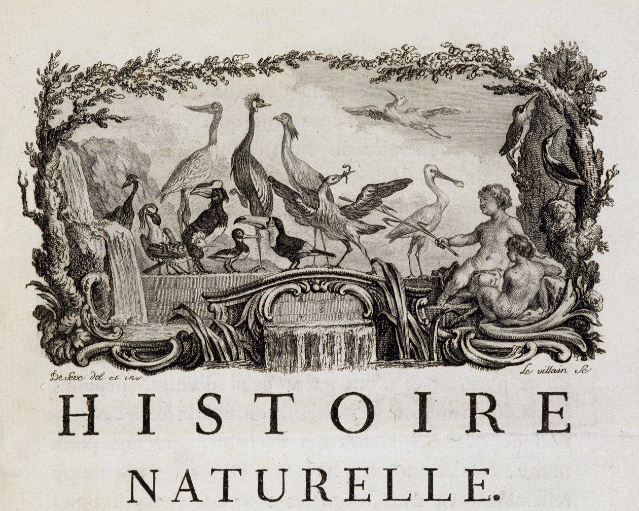 Luonnonhistorian allegooria linnuista - Buffonin "" Luonnonhistoria, yleinen ja erityinen historia" tekijältä French School