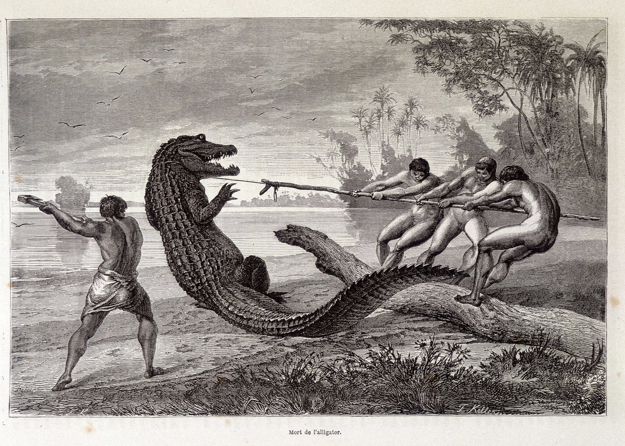 Alligator Hunt, Brasilia, "" Maailman ympäri"" 2. viikko 1874. tekijältä French School