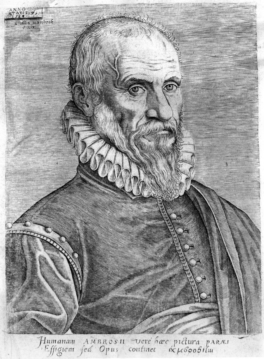 Ambroise Paré (1509-1590). tekijältä French School