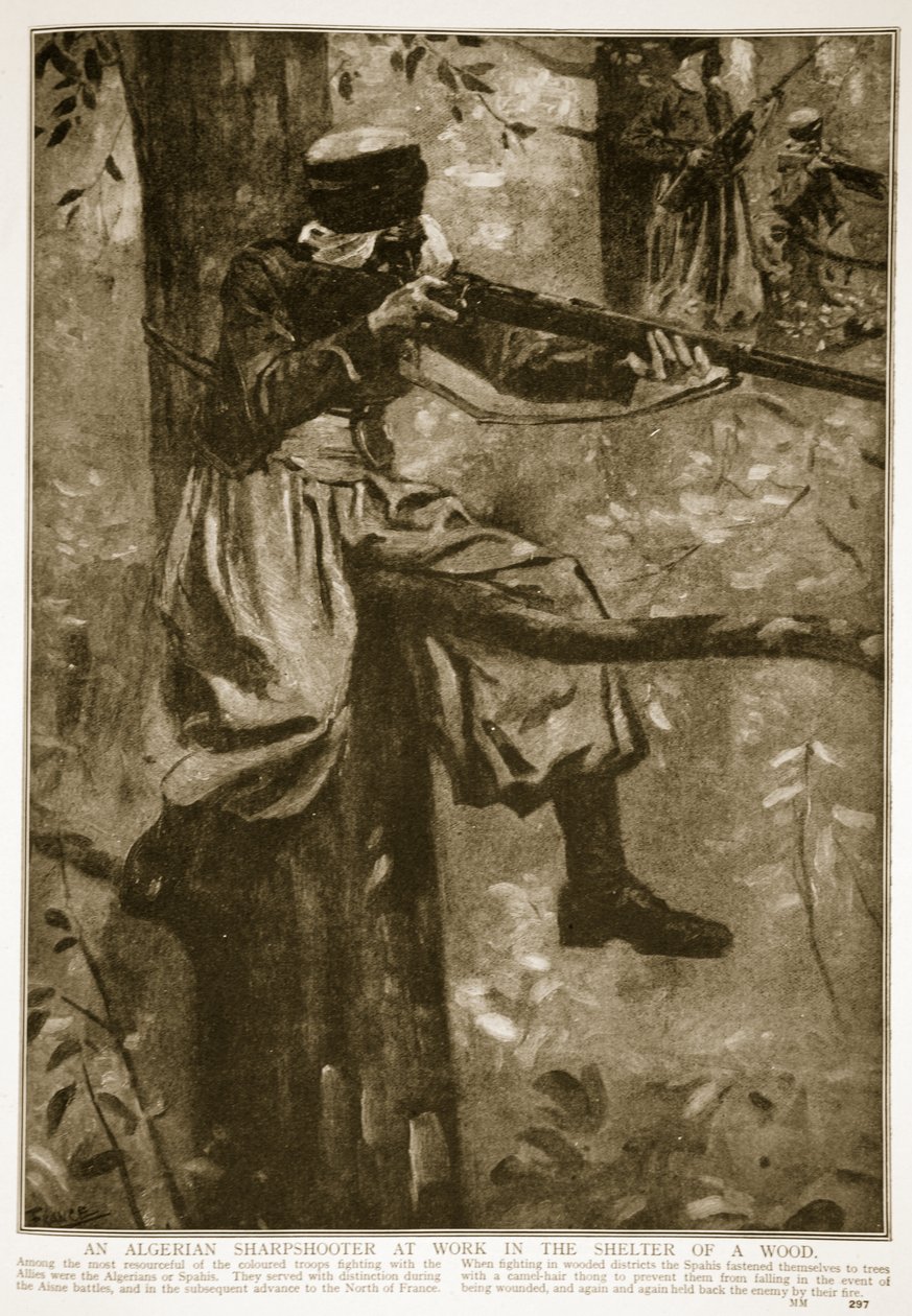 Algerialainen ampuja töissä metsän suojissa, 1914-19 tekijältä French School