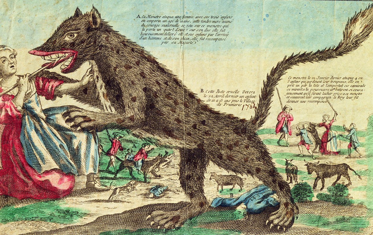 Gevaudanin pedon hyökkäykset vuonna 1764 (värikaiverrus) tekijältä French School