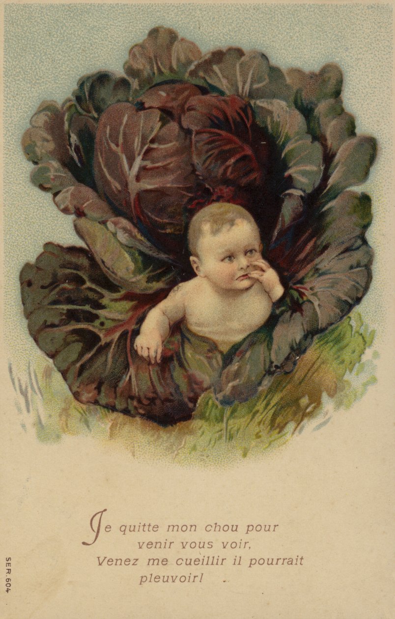 Kaalista nouseva vauva (chromolitho) tekijältä French School