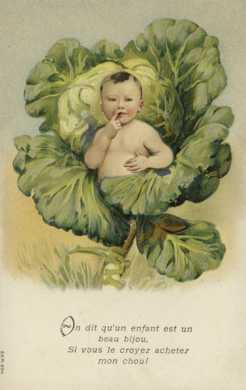 Vauva kaalissa (chromolitho) tekijältä French School