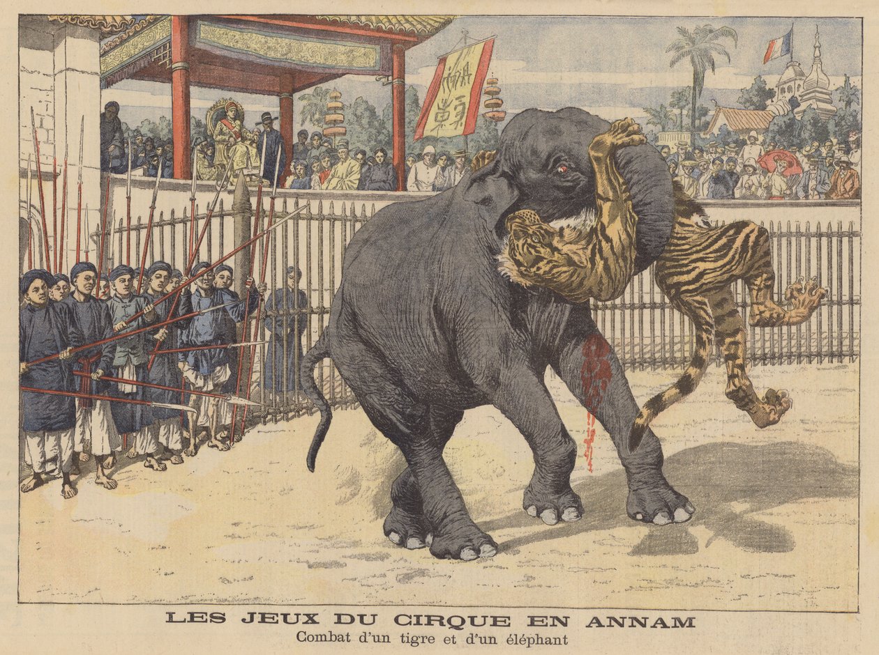 Norsun ja tiikerin välinen taistelu sirkuksessa Annamissa, Indokiinassa (värilitro). tekijältä French School