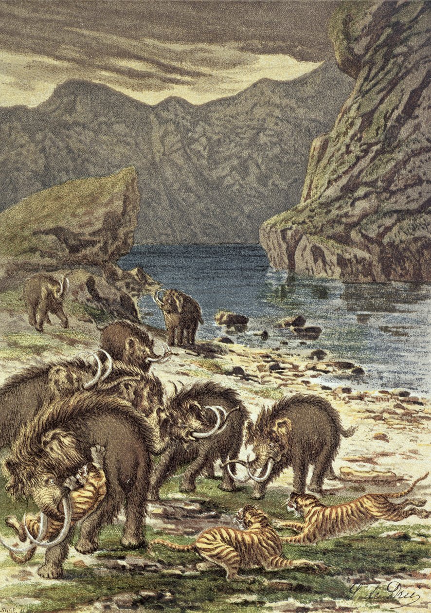 Taistelu mammuttien ja sahahampaisten tiikerien välillä Camille Flammarionin Le Monde Avant la Creation dHommesta, 1886 tekijältä French School