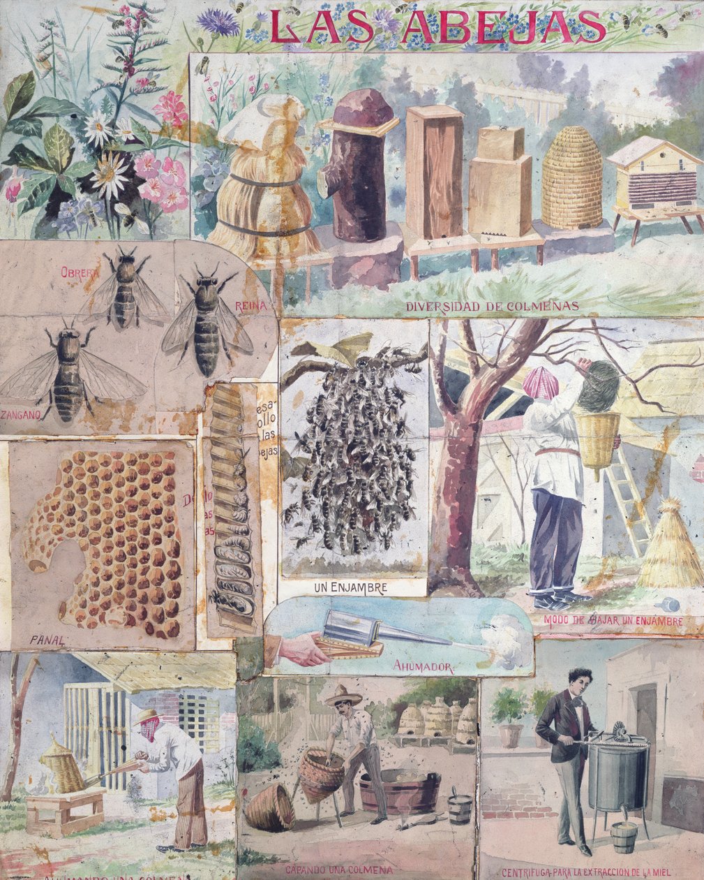 Bee Culture, kuvitus tehty Ranskassa, tarkoitettu julkaistavaksi Meksikossa, n. 1900 tekijältä French School
