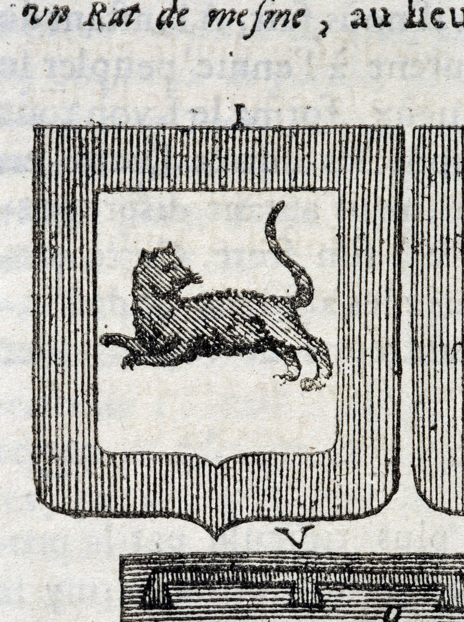 Italian jalkaväkirykmentin Blazon teoksessa "" La Vraye and Perfect Science of Arms or the Armorial Index", kirjoittanut Pierre Palliot tekijältä French School