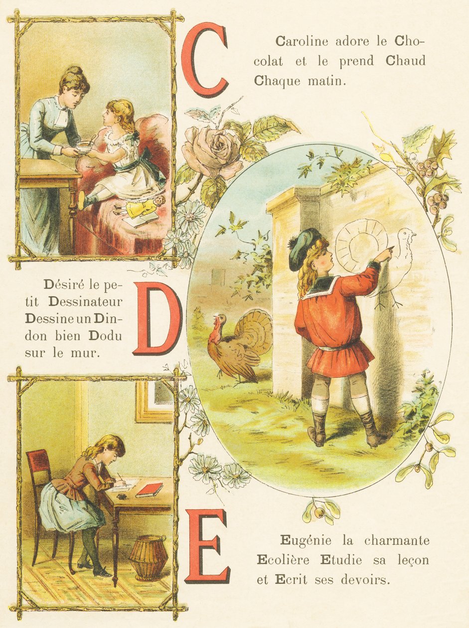 C D E: Suklaa, piirtäjä, Turkki tekijältä French School