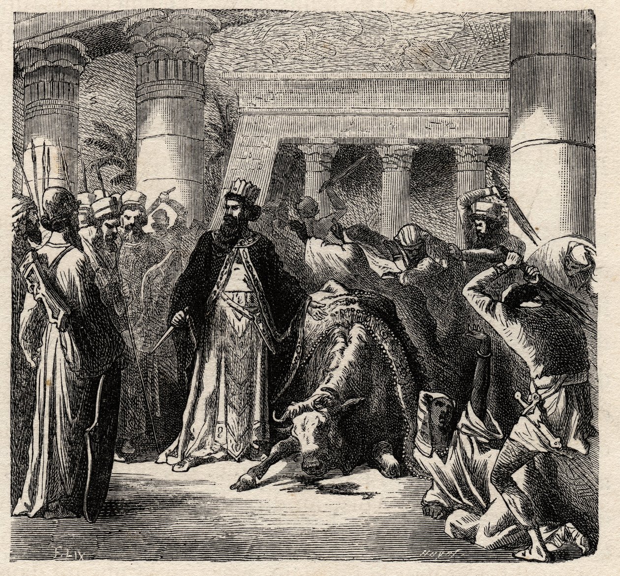 Kambyses II, Achaemenid-persialaisten hallitsija tappaa Apisin egyptiläisten pyhän härän - Cambyses tai Cambyse II (530-522 eKr.) kaiverrus Arthur Manginin kirjasta "" L