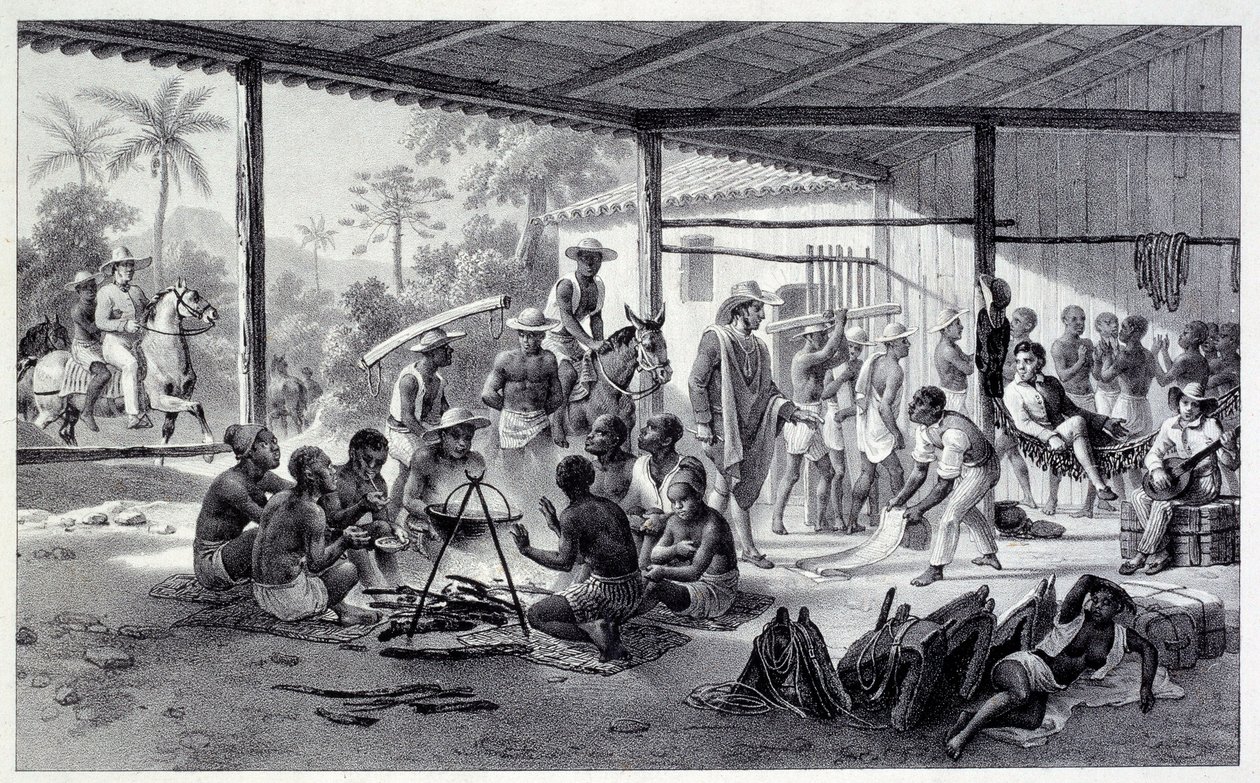Negreen leiri Brasiliassa. Kaiverrus 1800-luvulta. Chartres, Kuvataidemuseo tekijältä French School