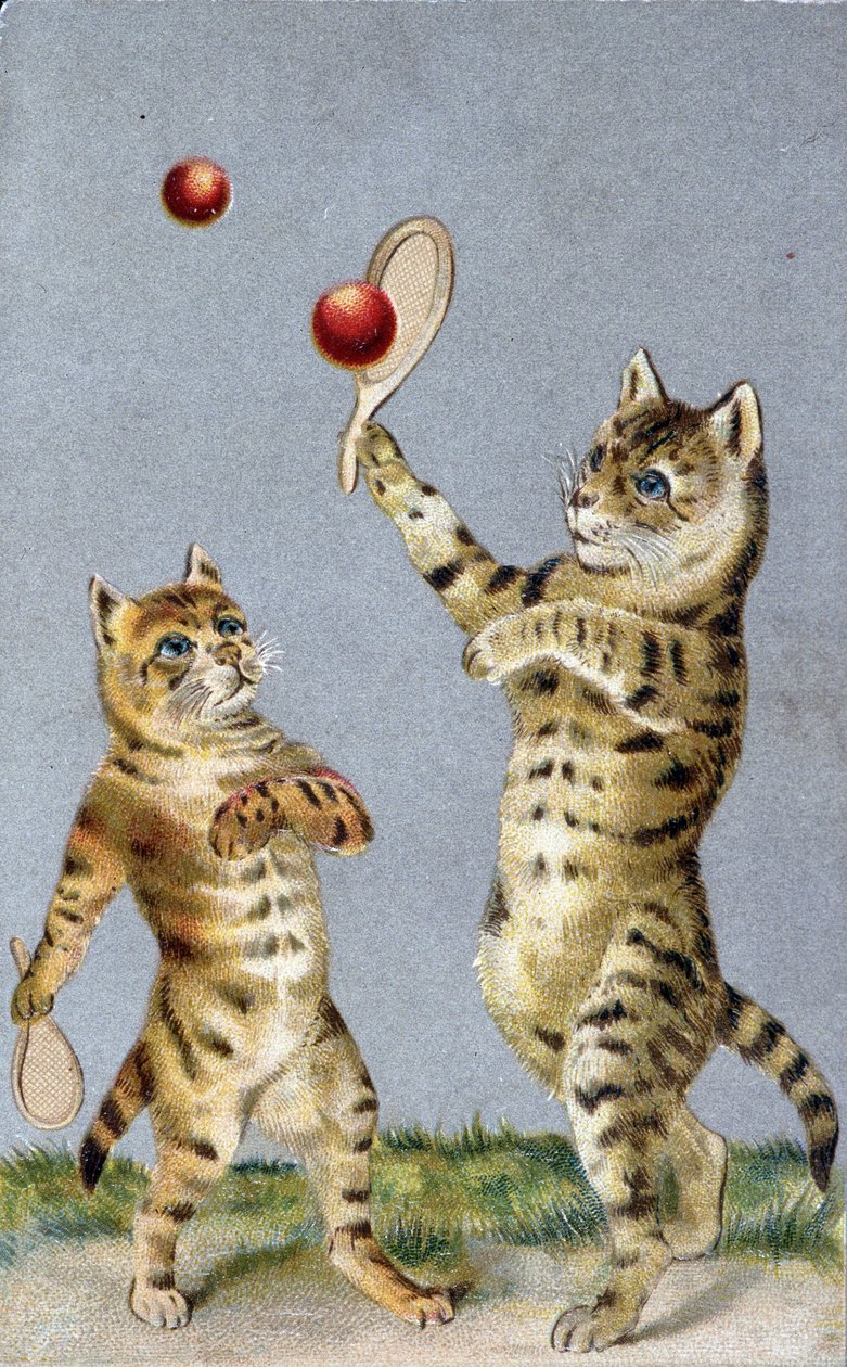 Tennistä pelaavat kissat - postikortti 1900-luvun alussa. tekijältä French School