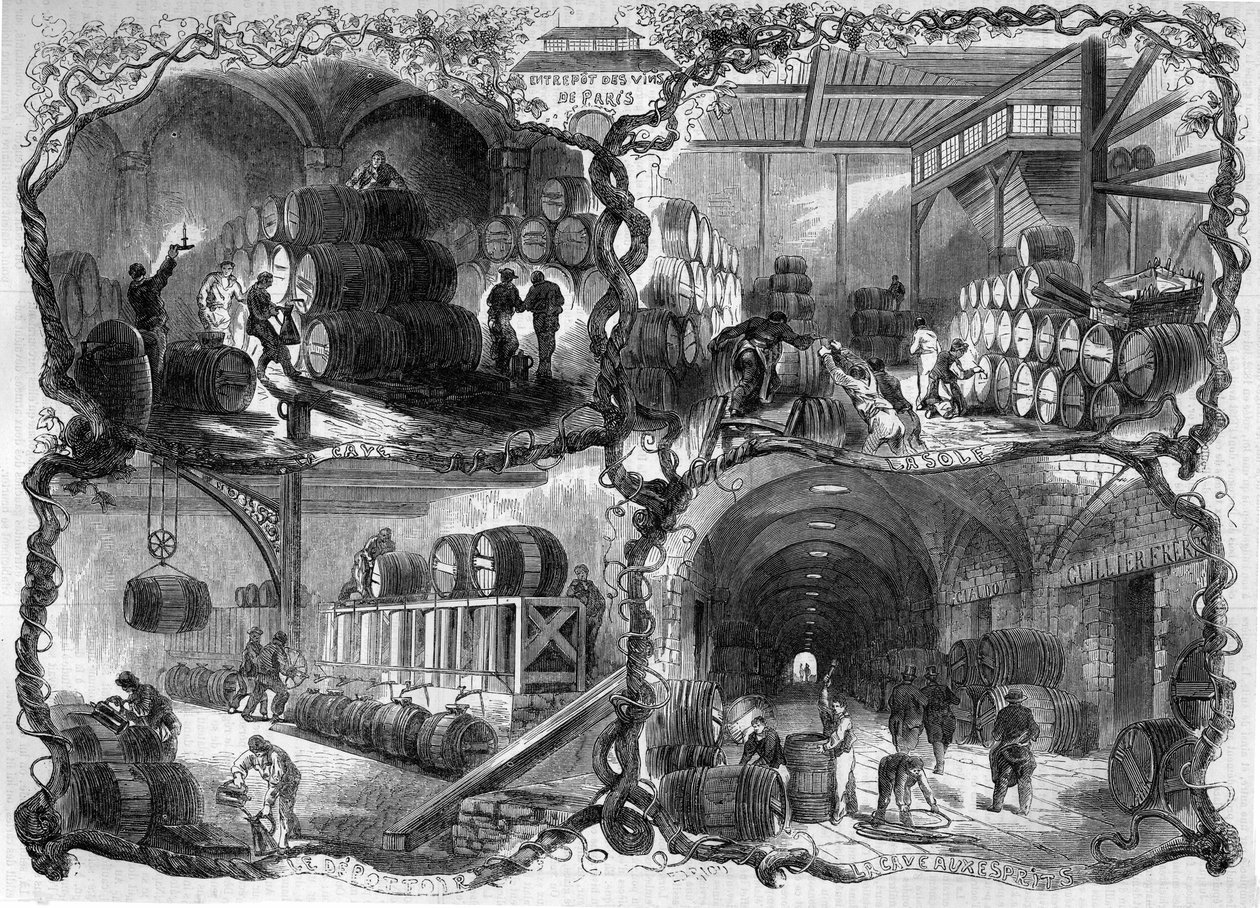 Viinien ja väkevien alkoholijuomien varaston (eaux-de-vie) kellarit Pariisissa; 1858. Kaiverrus "" Le Monde Illustré" -julkaisussa nro 46, 27. helmikuuta 1858. tekijältä French School