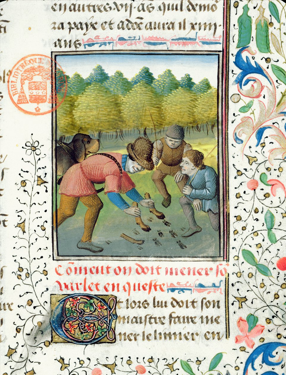 Tarkistaa polttarin jälkiä Livre de la Chassesta, kirjoittanut Gaston Phebus de Foix (1331-91) tekijältä French School
