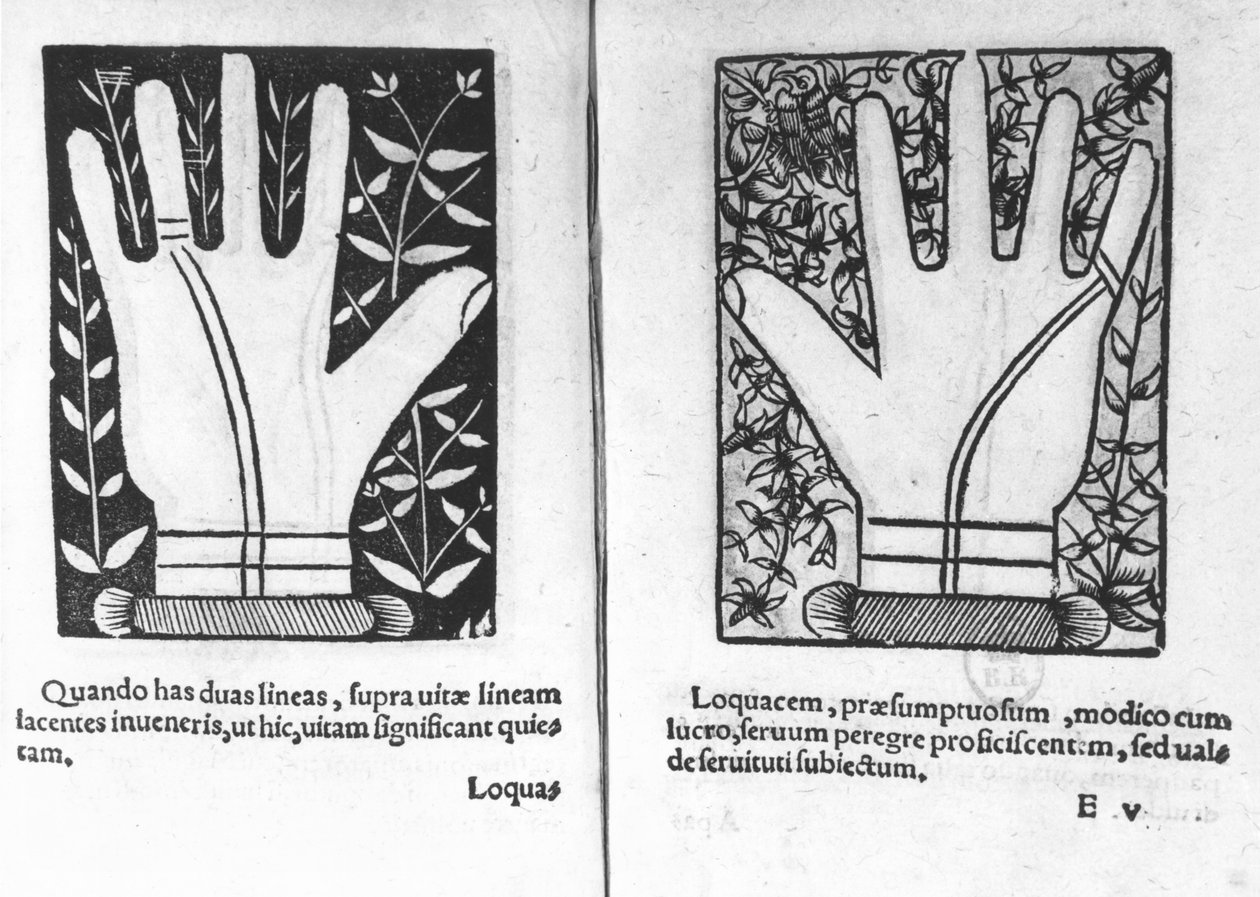 Chiromantic Hands, kuvitus Chiromatiae Principiisistä ... Anastasis, Bartolommeo della Rocca (Cocles) 1467-1504) 1555 tekijältä French School