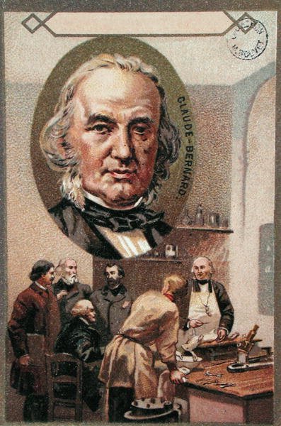 Claude Bernard (1813-78) (kromoliitti) tekijältä French School