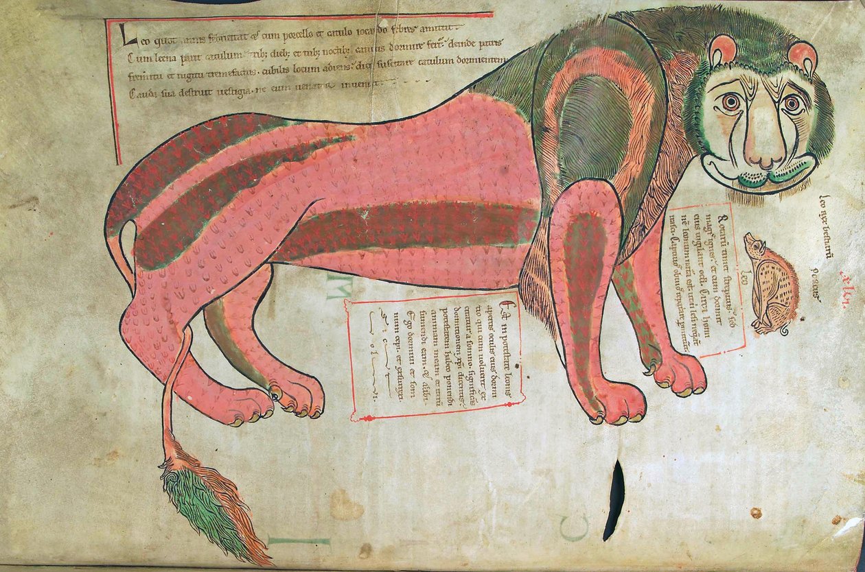 Turska. Guelf. 1 Gud. lat. (37v), Leijona ja sika, Liber Floriduksesta, Lambert de Saint-Omer n. 1120 tekijältä French School