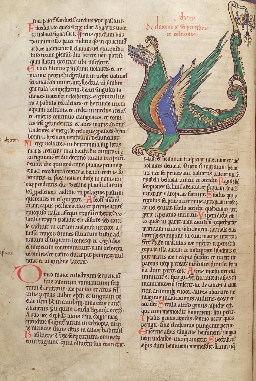 Turska. Guelf. 1 Gud. lat. 40v, teksti lohikäärmekuvalla, Liber Floridus, Lambert de Saint-Omer n. 1120 tekijältä French School