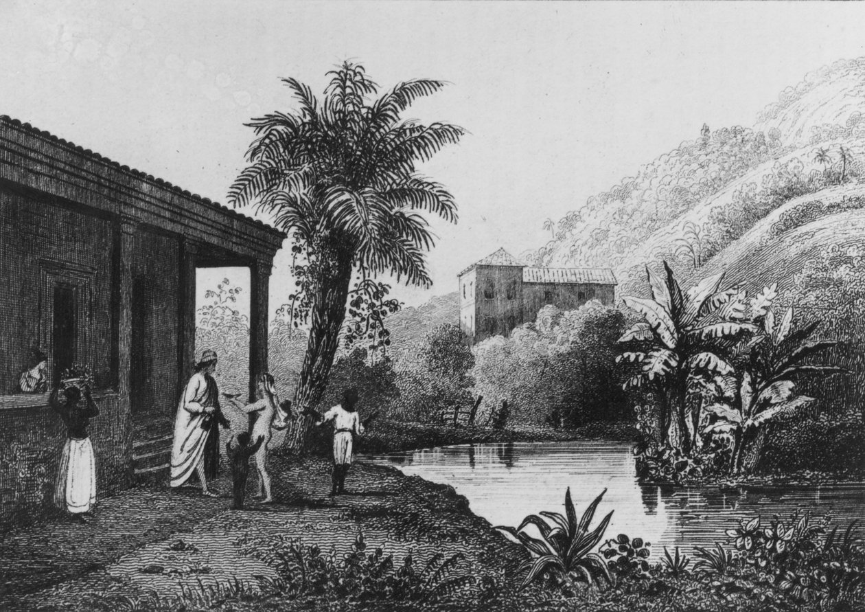 Coffee Plantation, "Bresil, Colombie et Guyanese", Ferdinand Denis ja Cesar Famin 1837 (kaiverrus) (m/v kuva) tekijältä French School