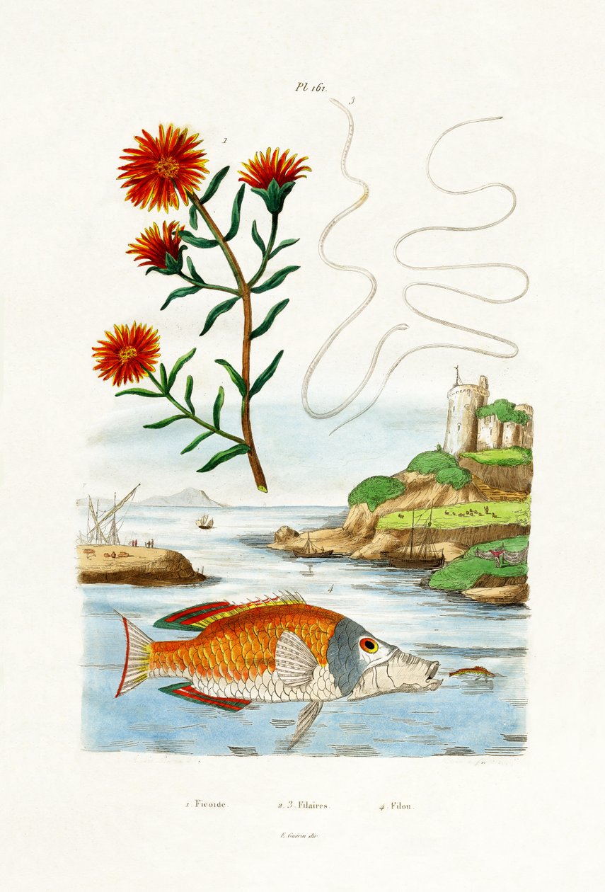 Coppers Hardy Ice Plant, 1833-39 tekijältä French School
