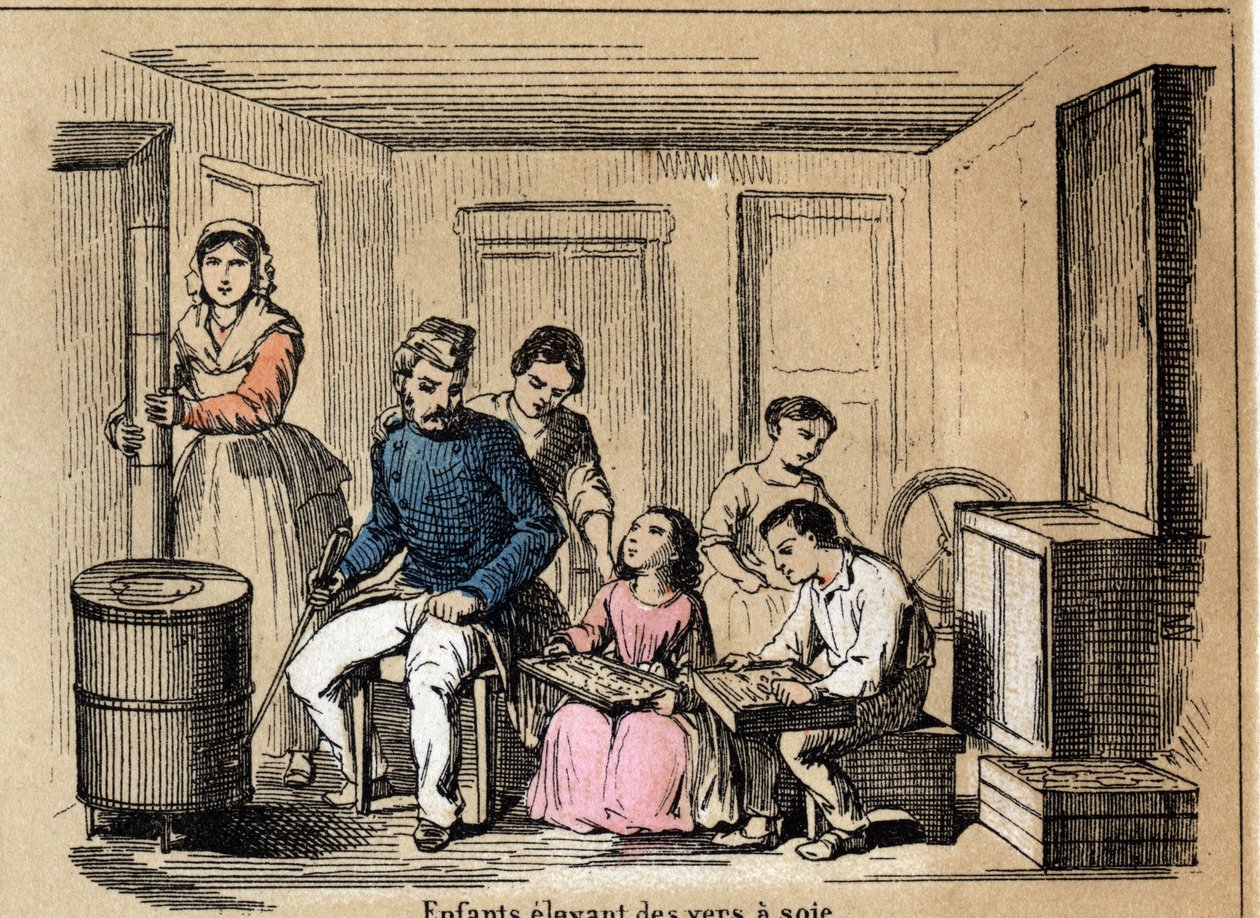 Kulttuurikuvaus ja silkkituotteet: lapset kasvattavat silkkiäistoukkia. Levy "" la soie"" in "" les Recreations instructives"" Jules DELBRUCKin synoptinen maalaus, kaiverrus vuodelta 1860. Yksityinen kokoelma. tekijältä French School