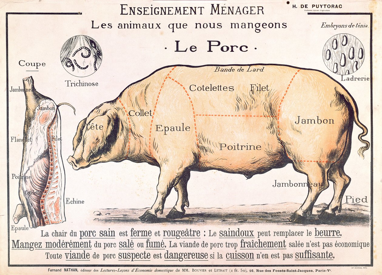 Cuts of Pork, kuvitus ranskalaisesta kotitaloustieteen käsikirjasta, kirjoittanut H. de Puytorac, julkaissut Editions Fernand Nathan, 1800-luvun loppu tekijältä French School