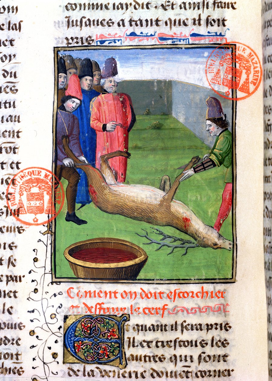 Gaston Phebus de Foixin (1331-91) Livre de la Chassesta peräisin olevan kuolleen poltan jalkojen leikkaaminen tekijältä French School