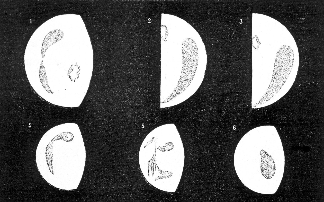 Venuksen tummat ja kirkkaat täplät; 1, 2, 3, täplät, jotka D. Cassini havaitsi vuosina 1667 ja 1667; 4, 5, 6, M. Langdonin vuonna 1871 havaitsemat täplät - Amédée Guilleminin teoksessa "" Le Ciel" tekijältä French School