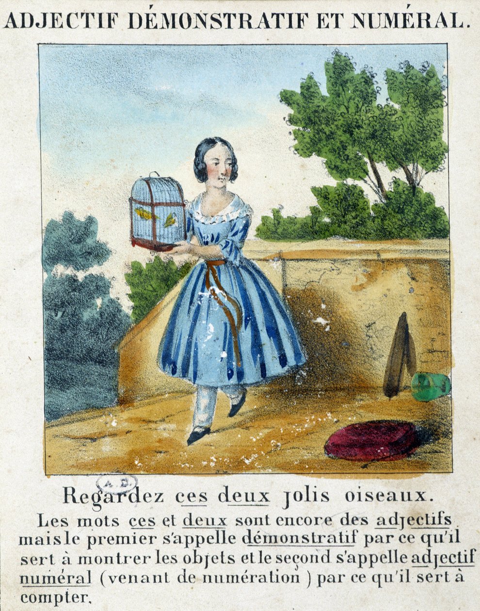 Havainnollistava ja numeerinen adjektiivi (tyttö, joka kantaa häkkiä 2 linnun kanssa) - "" La grammaire en images" -tekstissä" tekijältä French School