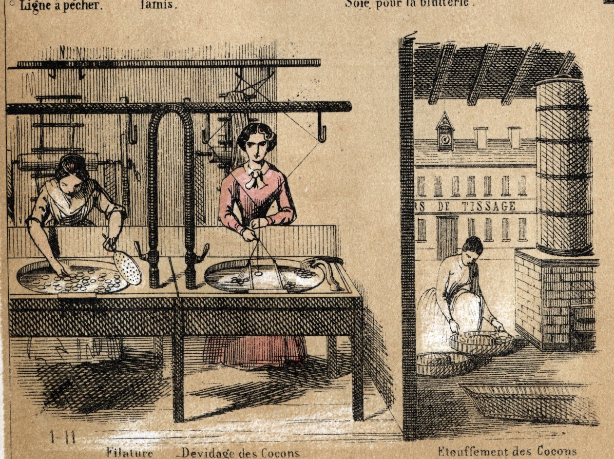 Viljely- ja silkkituotteiden kuvaus: työntekijät, jotka kehrävät silkkiä, poistavat tai tukahduttavat koteloita. Levy "" la soie"" in "" les Recreations instructives"" Jules DELBRUCKin synoptinen maalaus, kaiverrus vuodelta 1860. Yksityinen kokoelma. tekijältä French School