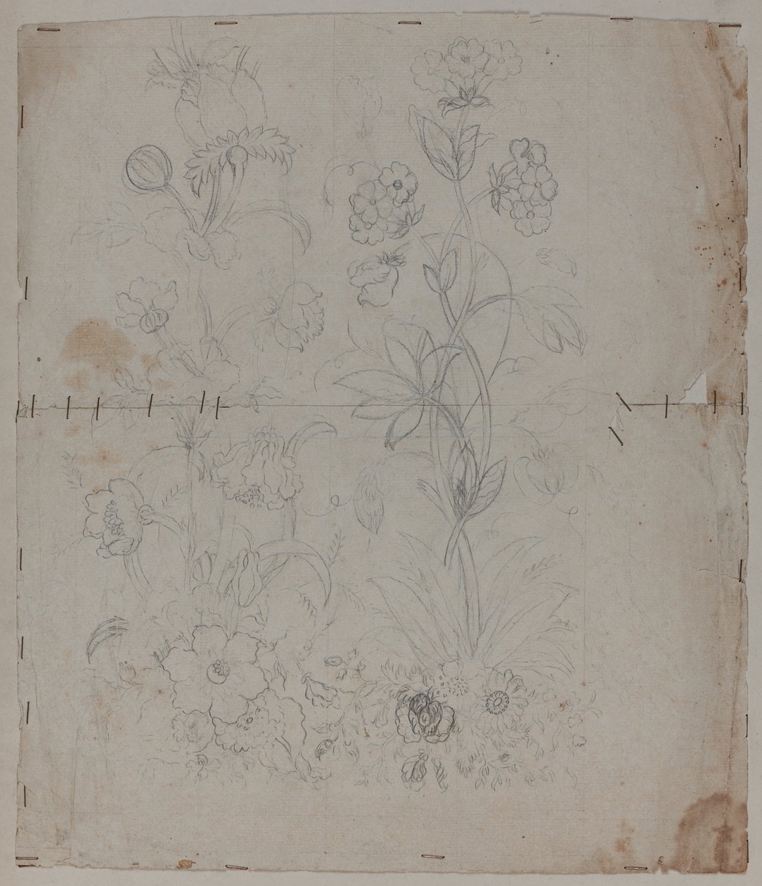 Piirustus, 1700-luvun loppupuoli tekijältä French School