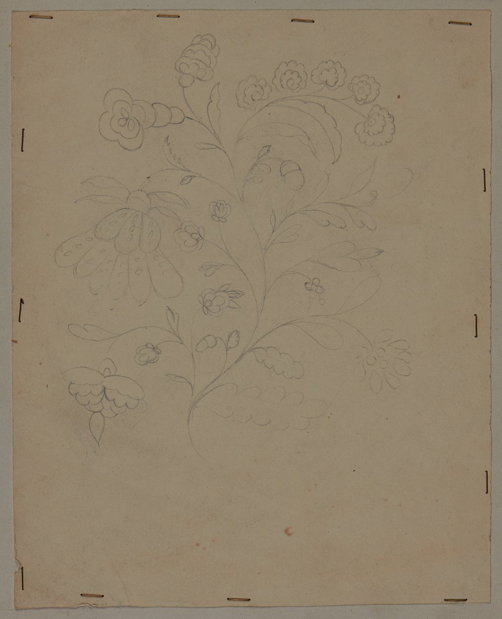 Piirustus, 1700-luvun loppupuoli tekijältä French School