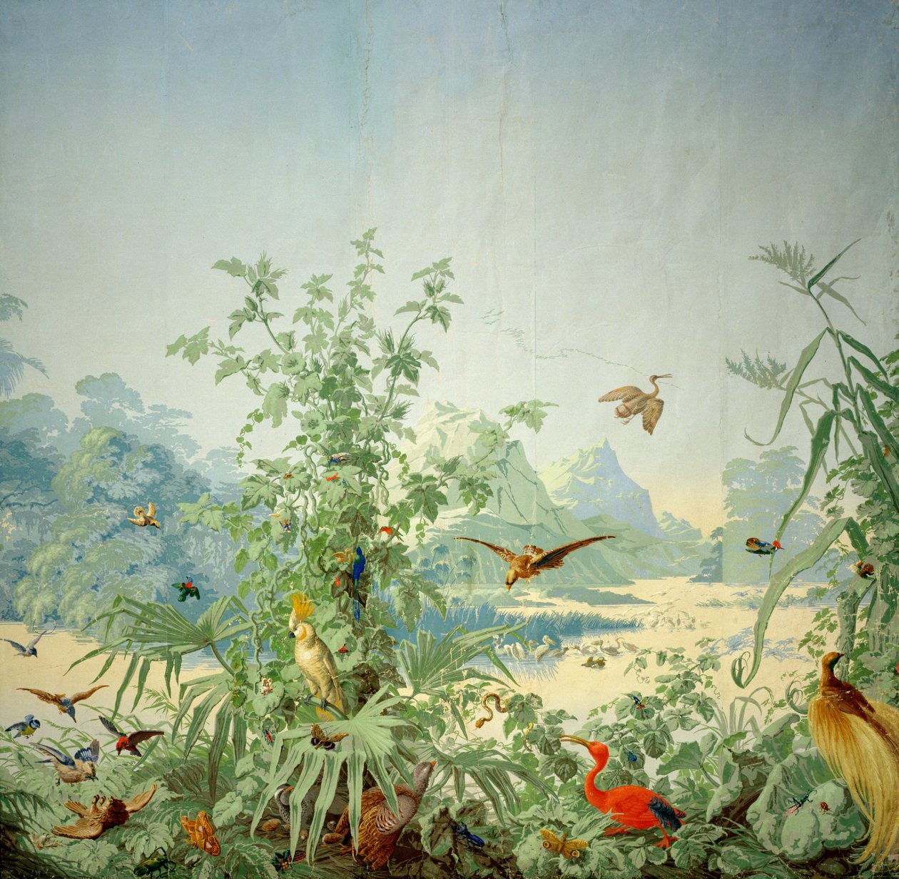 Yksityiskohta Brasilista, panoraamatapettisuunnittelu, painettu Desfosse et Karth, Pariisi, 1867 tekijältä French School