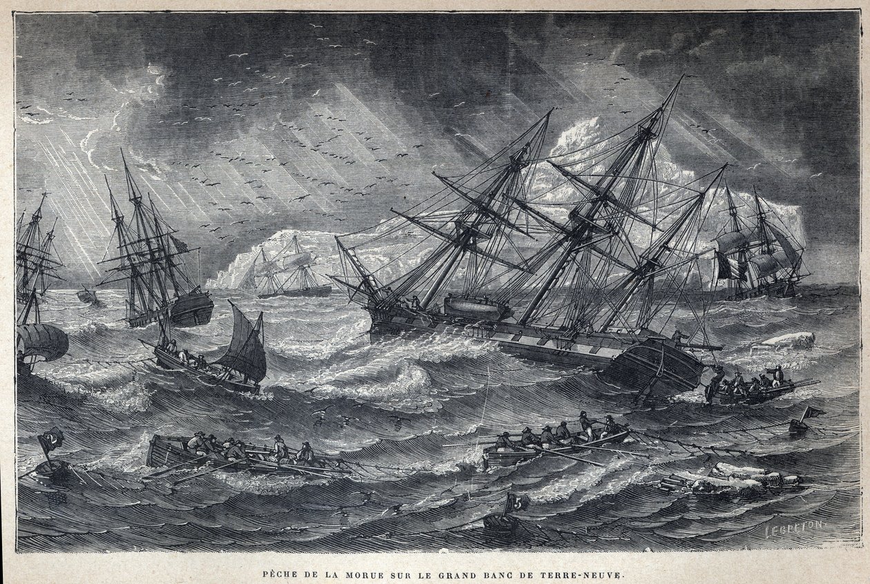 Löysin Kanadan: Turskan kalastus Grand Bank of Newfoundlandissa, Newfoundlandissa. Kaiverrus 1800-luvun lopusta Eugene Gueninin teokseen "La nouvelle France". tekijältä French School