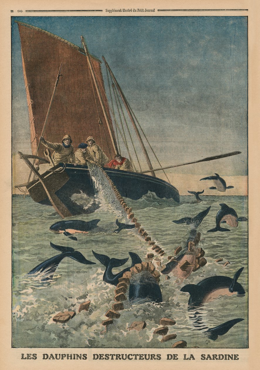 Delfiinit tuhoavat sardiineja, etukannen kuvitus Le Petit Journalista, liitekuva, 23. maaliskuuta 1913 tekijältä French School
