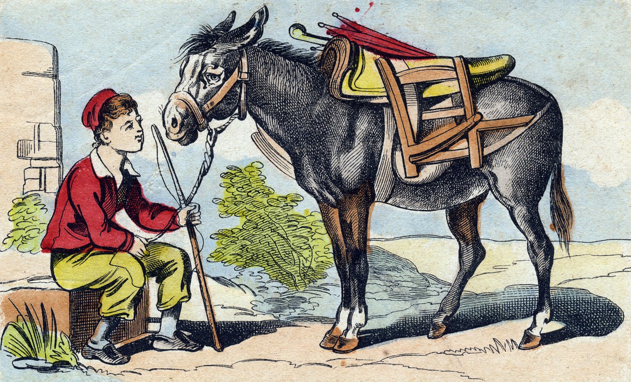 Aasi. Kaiverrus "Buffon Alphabet des Animaux". 3. sarja N 1. Epinal, Epinal, 1800-luvun loppu. Kuvaus. 16 sivua. Mitat: 28x21cm tekijältä French School
