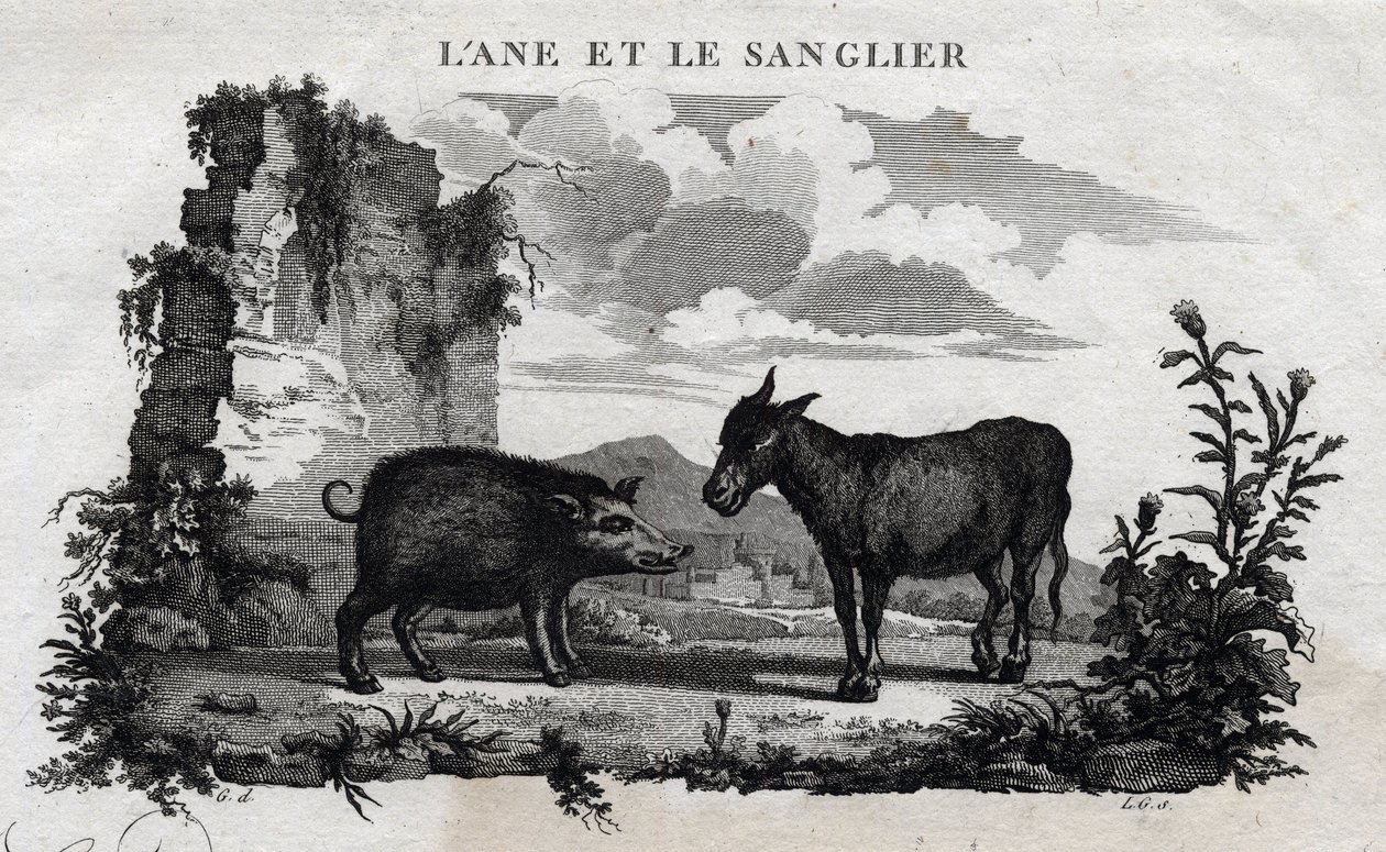 Aasi ja villisika. Fable of Esope. (Kreikkalainen kirjailija Esopo tai Ecopus, 6. vuosisata eKr.) Kirjoittanut Guillaume Montfort ja Gravees Beauble vuonna 1801. tekijältä French School