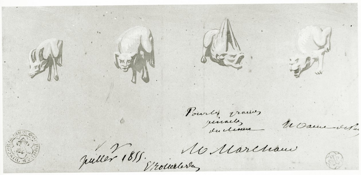 Piirustus Notre Damen gargoylien entisöintiä varten, 1855 tekijältä French School