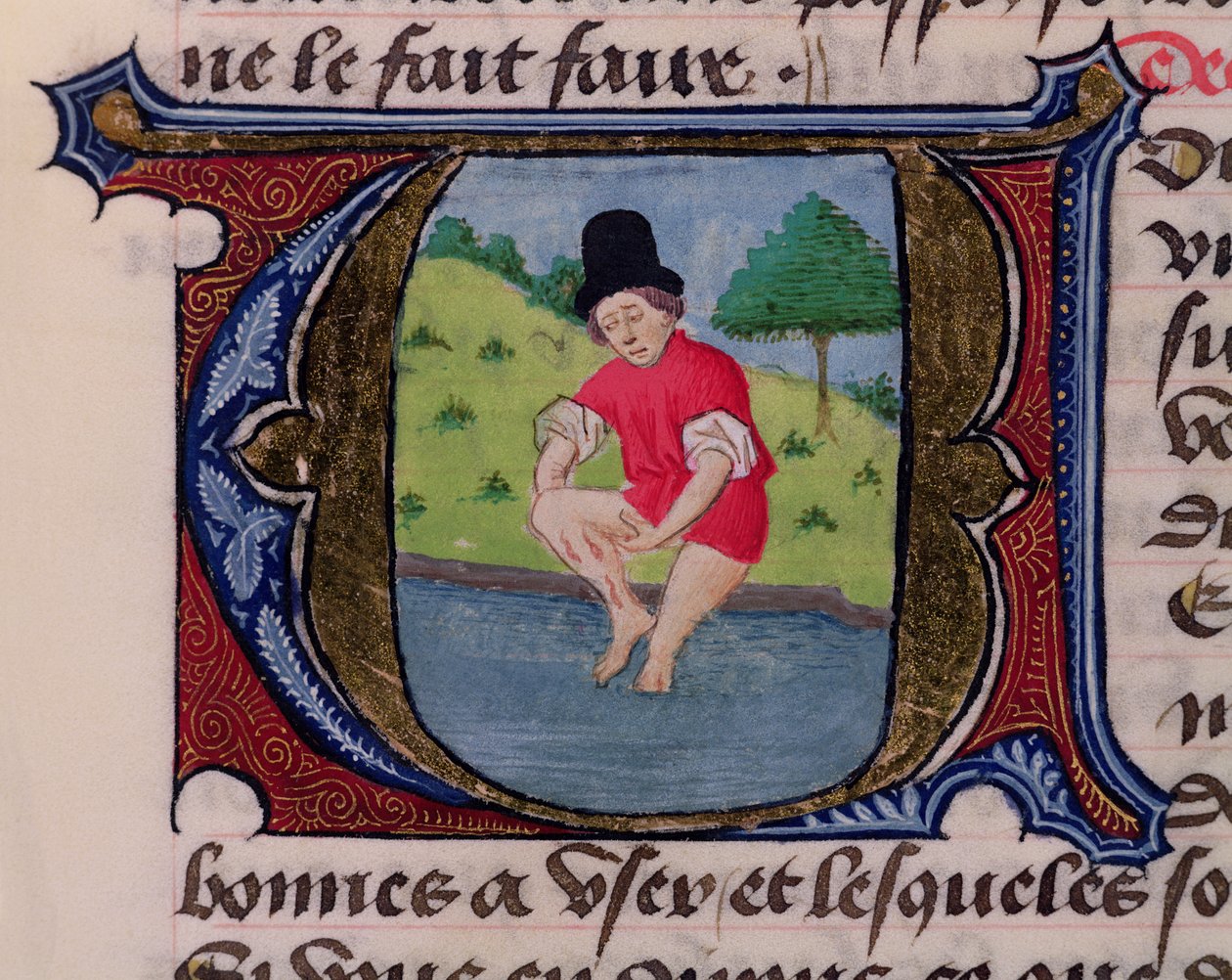 F.27v Leaching, Traite de Medecinen, kirjoittanut Hildebrand dr Florence, 1356 tekijältä French School