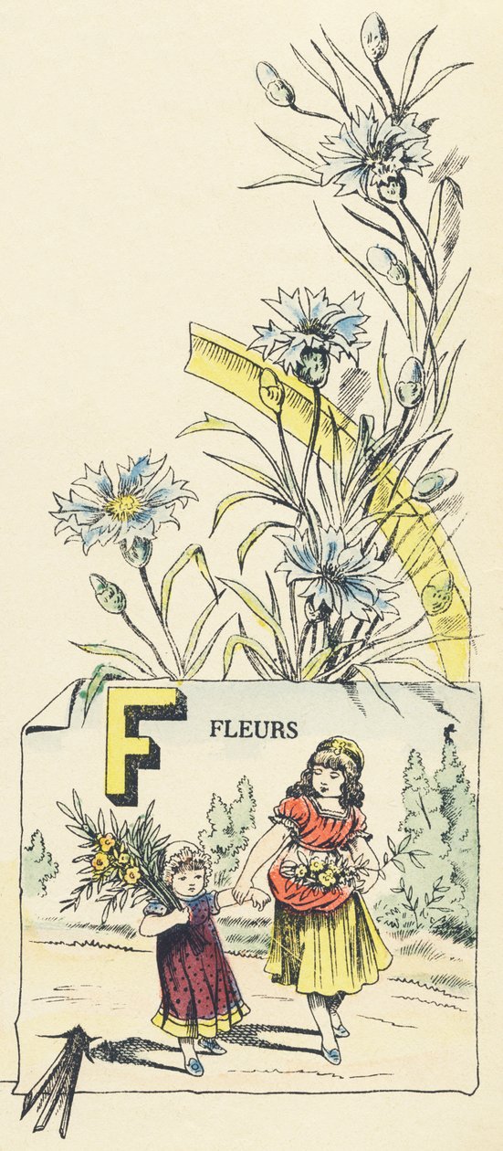 F: kukkia tekijältä French School