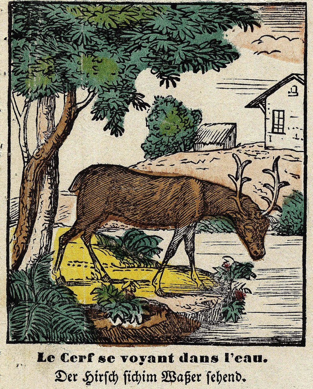 Fables de La Fontaine: peura näkemässä itsensä vedessä. Kuva Epinalista, 1800-luvun ensimmäinen puolisko tekijältä French School