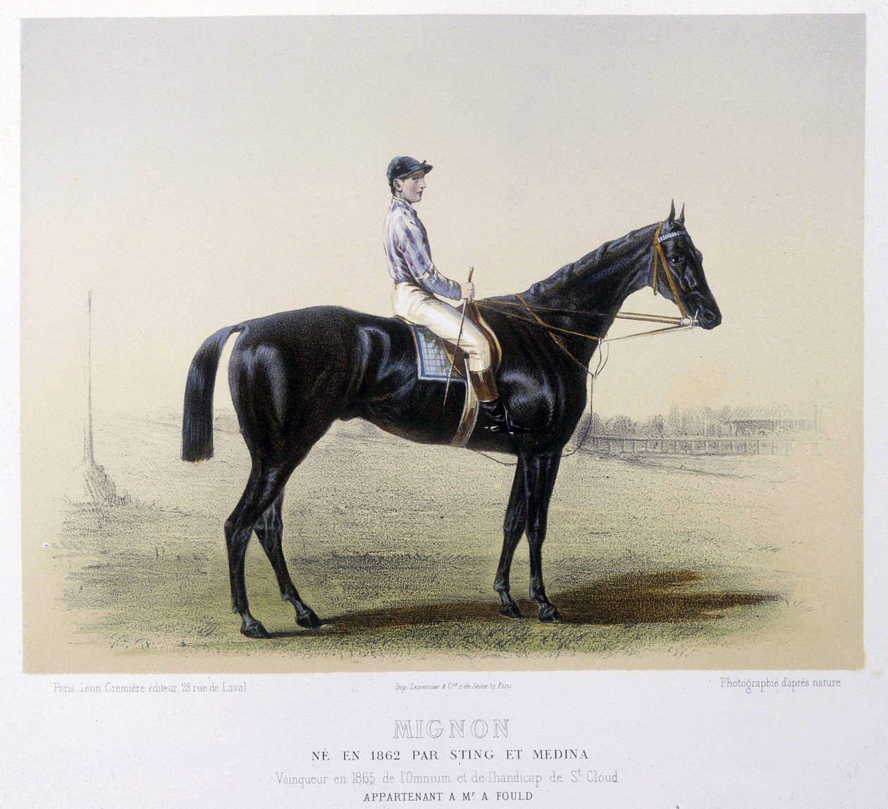 Kuuluisa kilpahevonen - elokuvassa "" The Centaur"" 1866 tekijältä French School