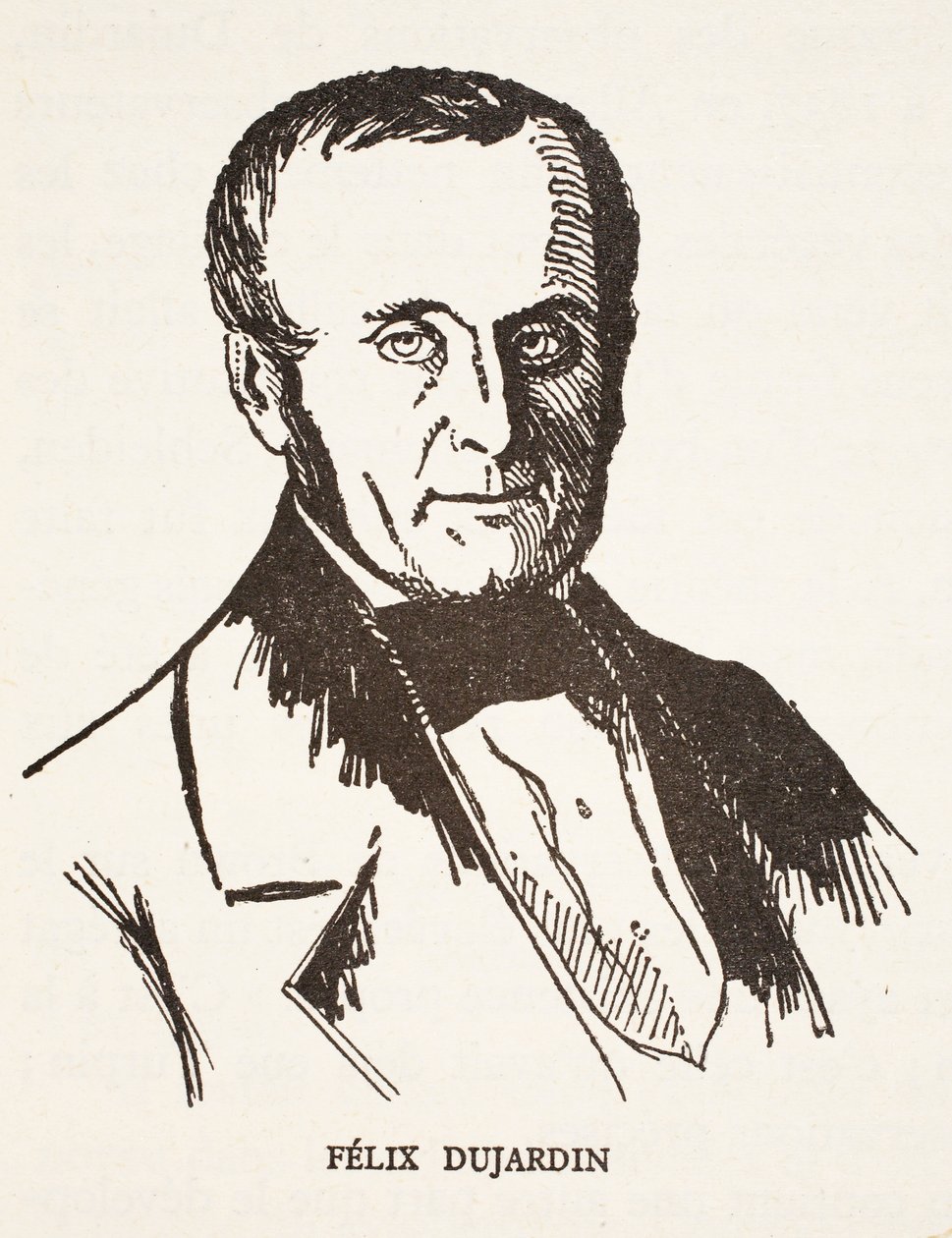 Felix Dujardin tekijältä French School