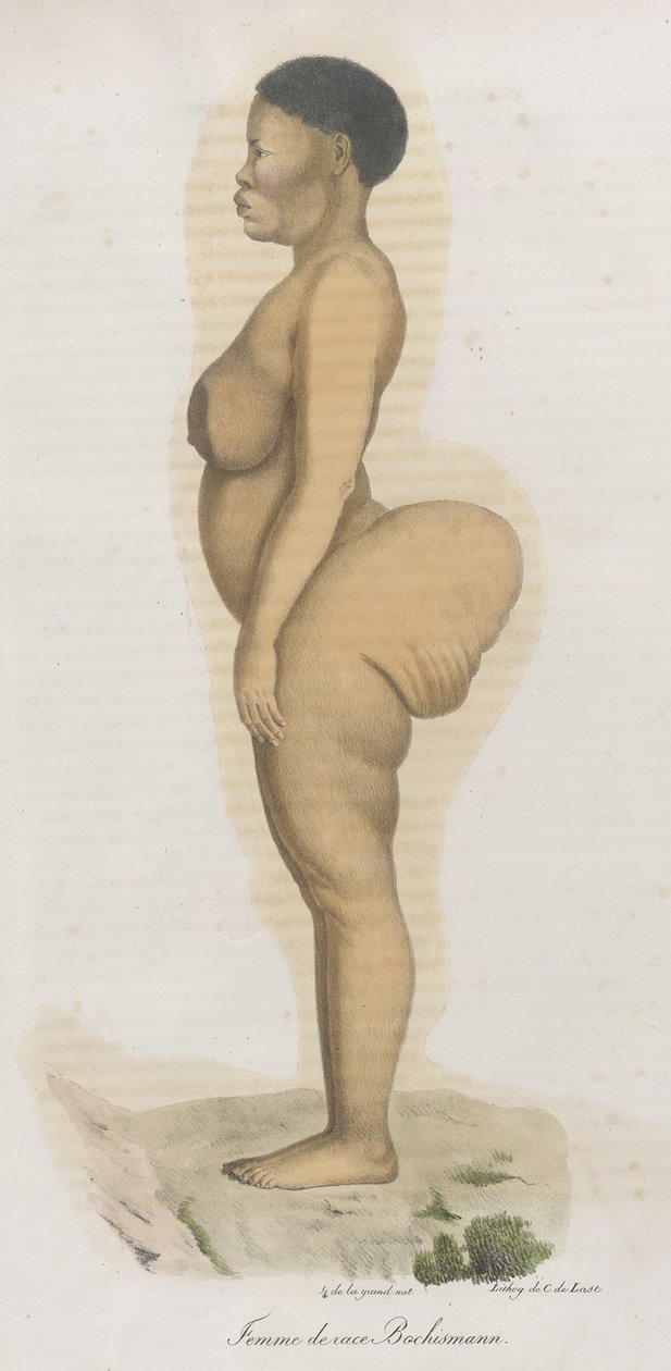 "Femme de race Bochismann". Tämä levy on ilmeisesti kuva Sara (Saartjie) Baartmanista (1789-1815), joka oli Etelä-Afrikasta tuotu Khoisan, joka oli tuotu julkiseen näytteille Piccadillyyn nimellä "Hottentot Venus", koska se oli tekijältä French School