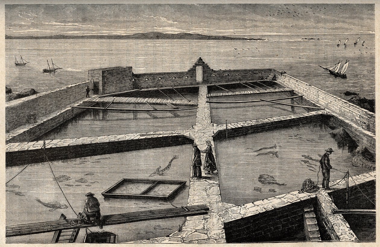 Kalankasvatus Concarneaussa - Bretagne - Establishment de pisciculture - Concarneau - Finistere - Bretagne - kaiverrus "" PATRIE" - KUVAVAATIMUS RANSKAN KUVAUS 6 OSASSA LUCIEN HUARD - 1800-luvun loppu tekijältä French School