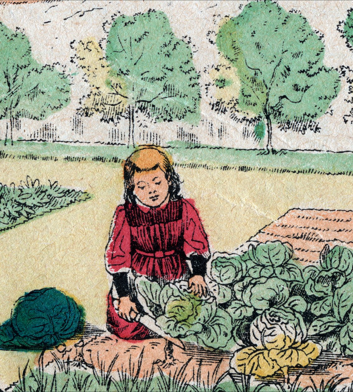 Ranskalainen uskomus: Pieni tyttö, joka uskoo, että vauvat syntyvät kaalissa tai ruusuissa, leikkaa vihannespuutarhan versoja - Epinal kuva - 1800-luku (kaiverrus) tekijältä French School