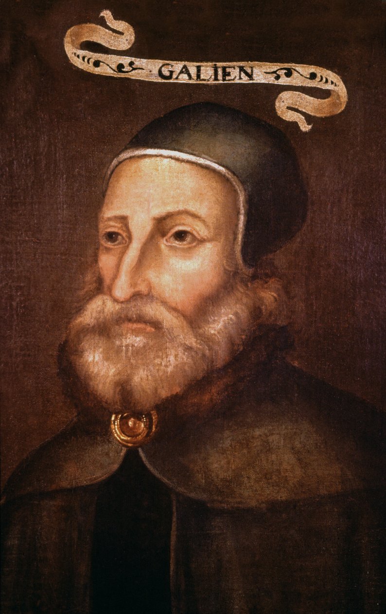 Galen. 1600-luku (maalaus) tekijältä French School