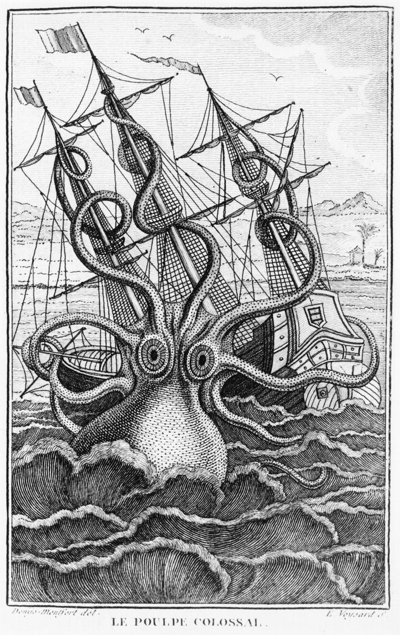 Giant Octopus, kuva Denys-Montfortin nilviäisten yleisestä ja erityisestä luonnonhistoriasta, c. 1802-03 tekijältä French School